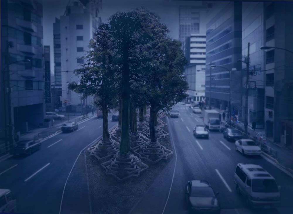 巨木の墓