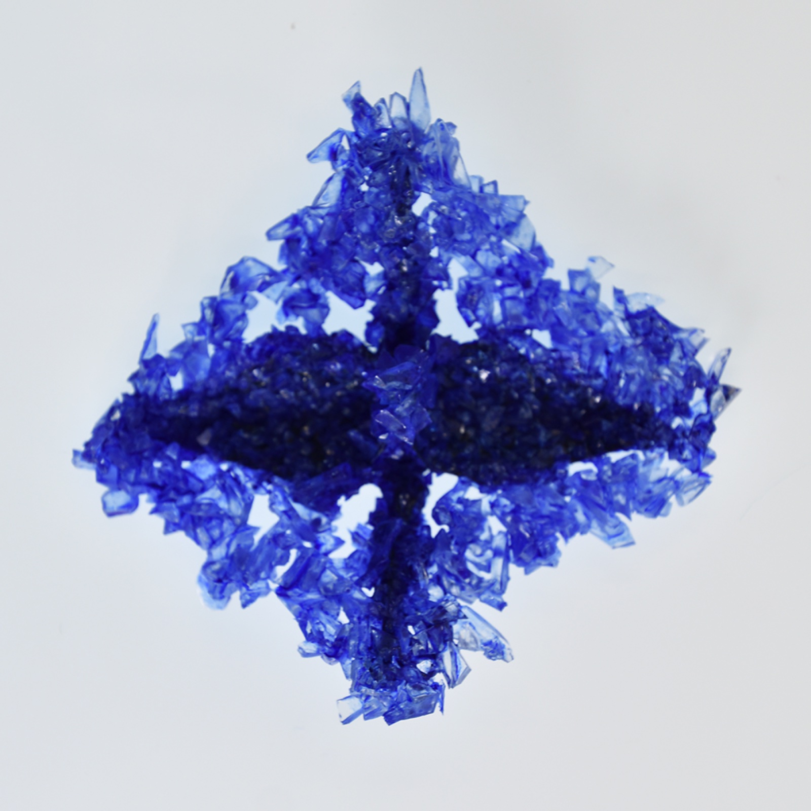 Glaucus in SNS