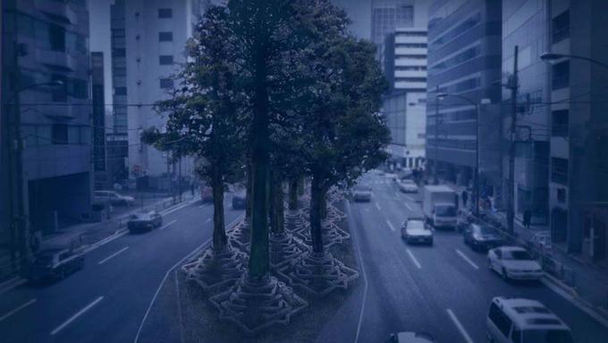 巨木の墓