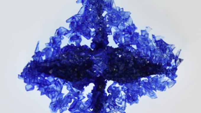Glaucus in SNS